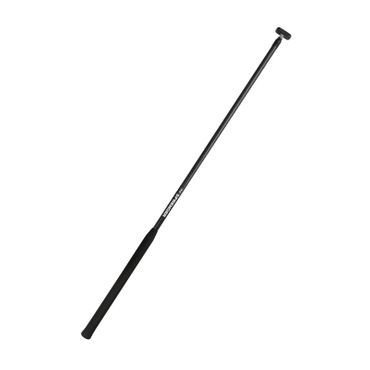 Pinnenausleger
